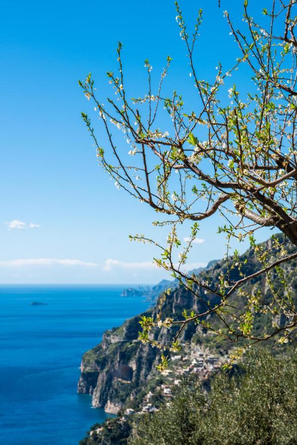 Yourhome - Casa Ivi Positano Dış mekan fotoğraf